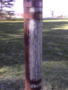 Pole 1